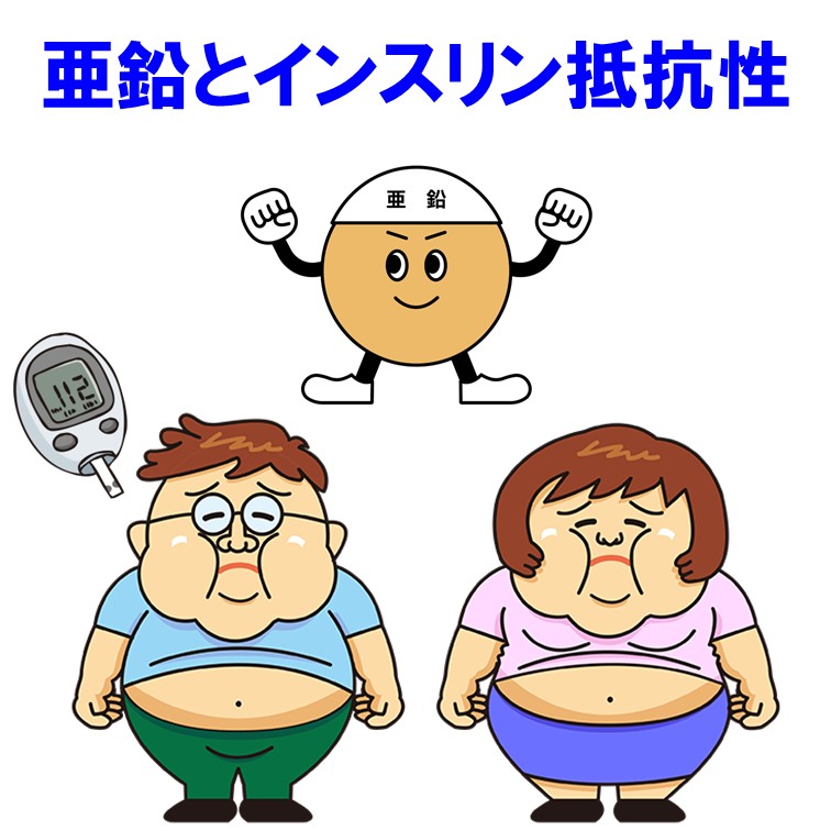 亜鉛とインスリン抵抗性