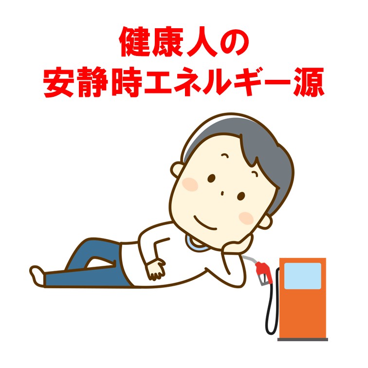 健康人の安静時エネルギー源