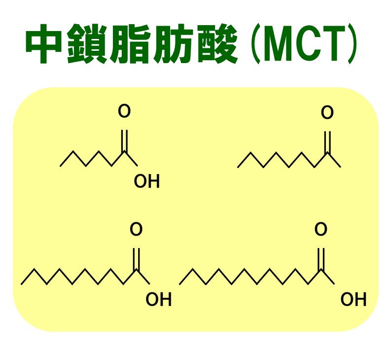中鎖脂肪酸(MCT)
