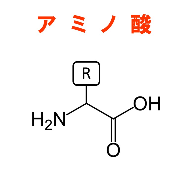 アミノ酸